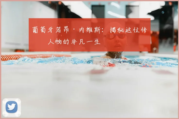 葡萄牙若昂·内维斯:揭秘这位传奇人物的非凡一生